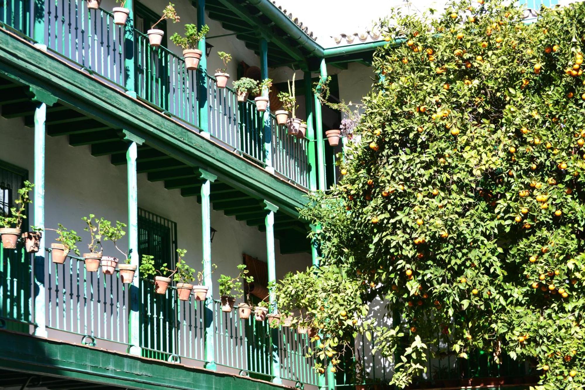 Estudio Las Setas I Sevilla Exteriör bild